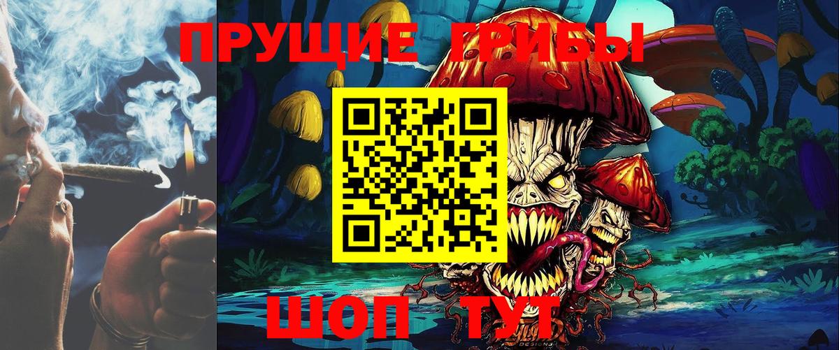 Псилоцибиновые грибы прущие грибы  Вход с VPN  Псилоцибиновые грибы ЛСД  Чернушка 